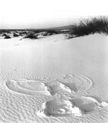 Sand_angel