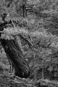 Untitled_2