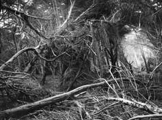 After_the_storm