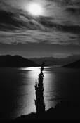 Moonlight