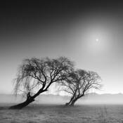 Reverence