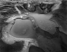 Bell_creek