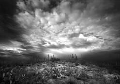 Storm_over_saguaro_hill