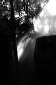 Shadow