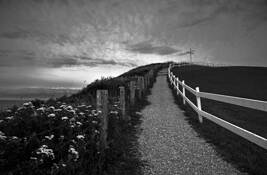 Pathway___cross