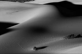 Desert_curves