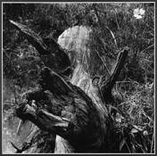 Untitled_11