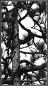Untitled_22