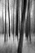 Ghosts_1