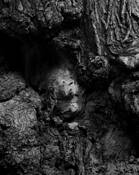 Texture_15