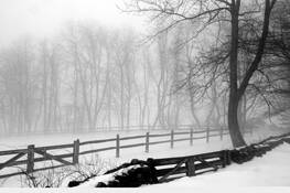White_out