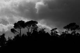 Storm_on_the_ridge