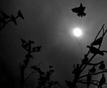 Untitled__10