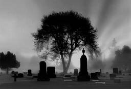 Cemetery_at_dawn