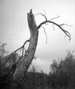 Flood_plain_1