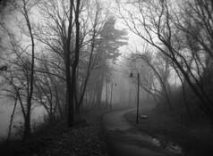 Pathway_ii
