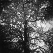 Darkly_translucent