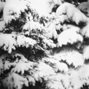 The_weight_of_snow