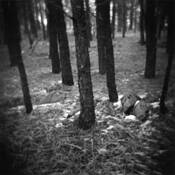 Traces_of_snow__2