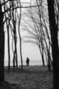 Golden_gardens_752