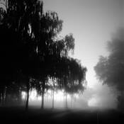 Area_2232_i