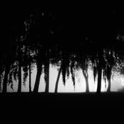 Area_2232_iii