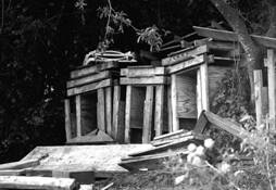 Low_cost_beachfront_property