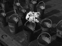 Pails