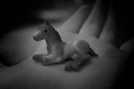 Horse_and_hand