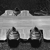 Family_oar_friends