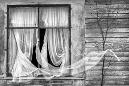 Window