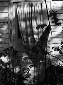 Material_witness_7