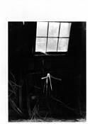 Light_in_the_barn