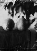 Tangerines