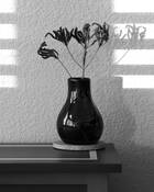 Dried_flowers_in_vase