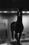 Untitled_7