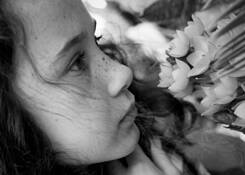 Sweet_scent
