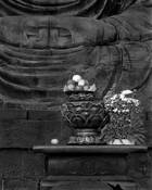 Offering_to_buddha