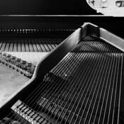 Bass_strings