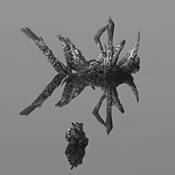 Natural_sculpture__1