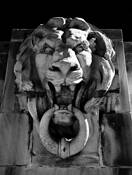 Guardian