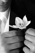 Wedding_day