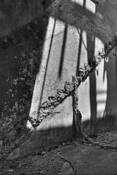 Walkway_and_shadows__angel_island_ca__2008