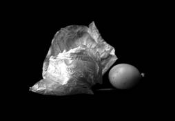 Butterfly_egg