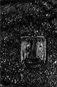 Mug_shot