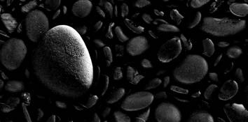 Dew_on_rock