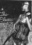 The_pleasure