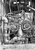 Motor_face