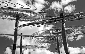 Stone_susan__raking_the_clouds