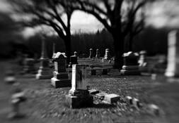 How_fragile_we_are